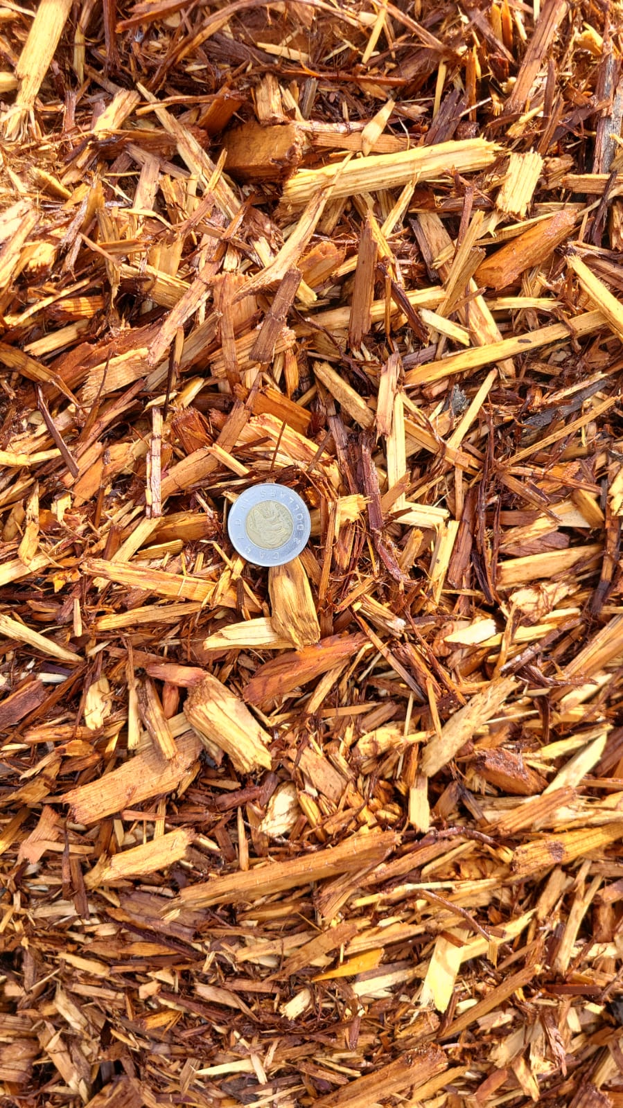 Cedar Mulch — landscaping supply in Edmonton