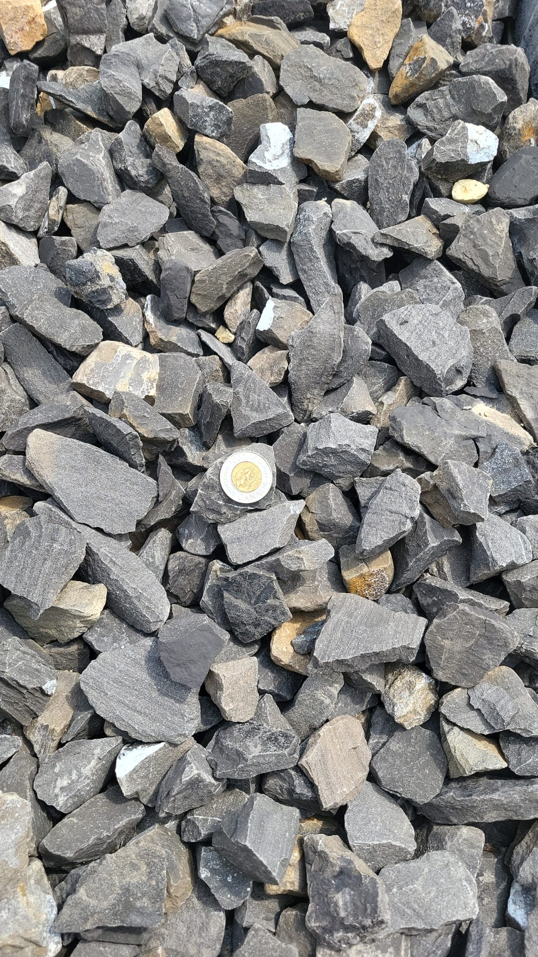 Majestic Midnight 40mm — landscaping supply in Edmonton