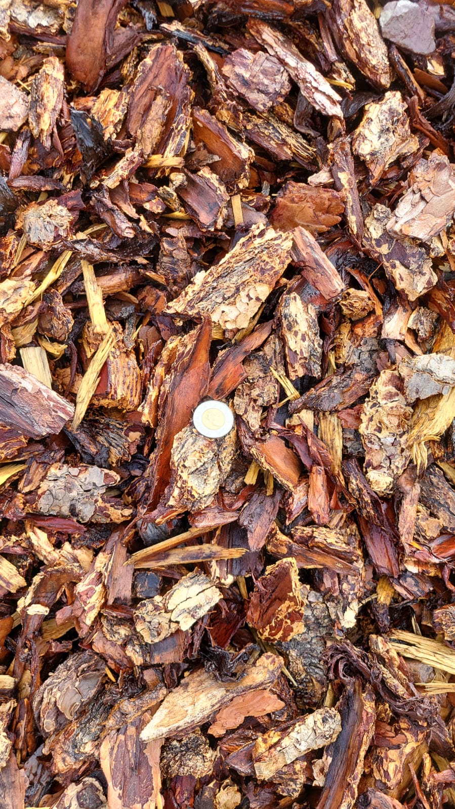 Nugget Medium Bark Mulch — landscaping supply in Edmonton