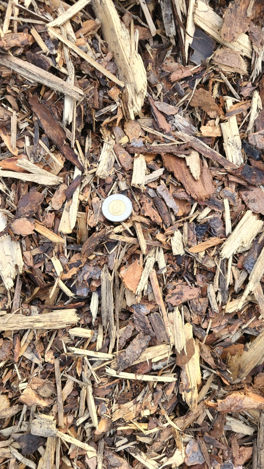 Pine Mulch — landscaping supply in Edmonton
