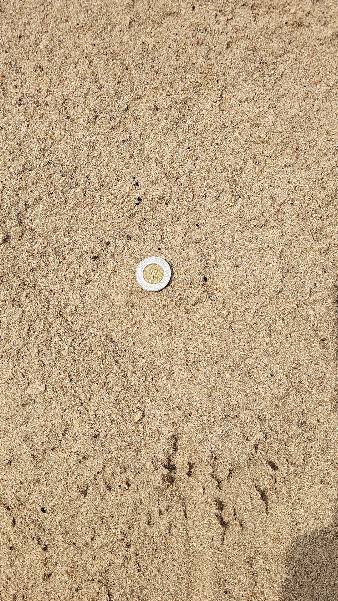 Play Sand — landscaping supply in Edmonton