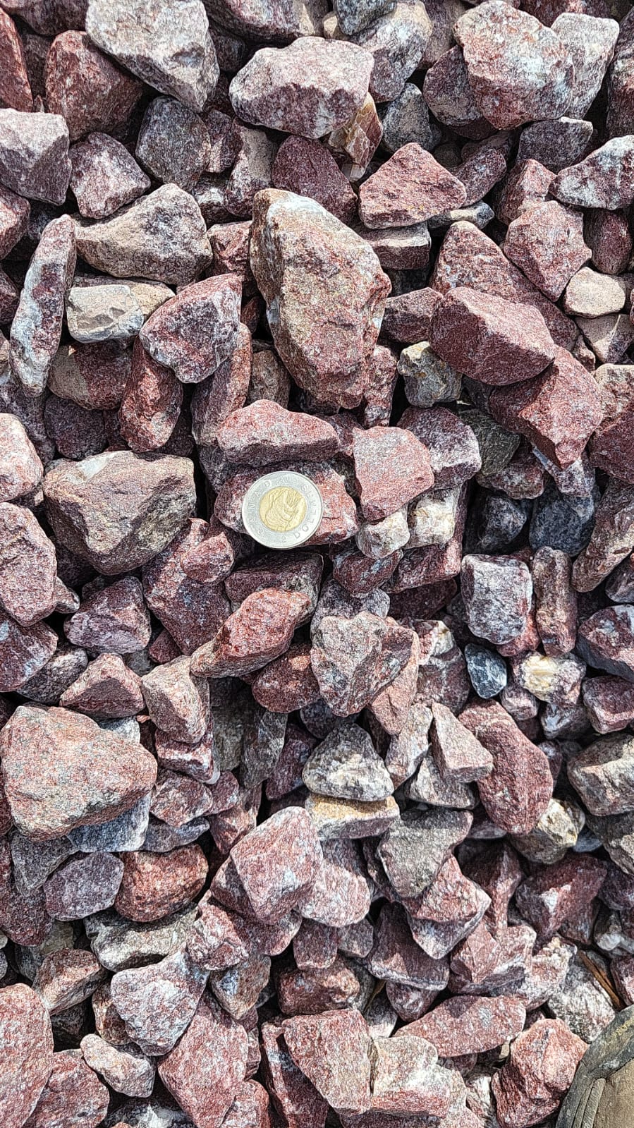 Purple Spark 40mm — landscaping supply in Edmonton