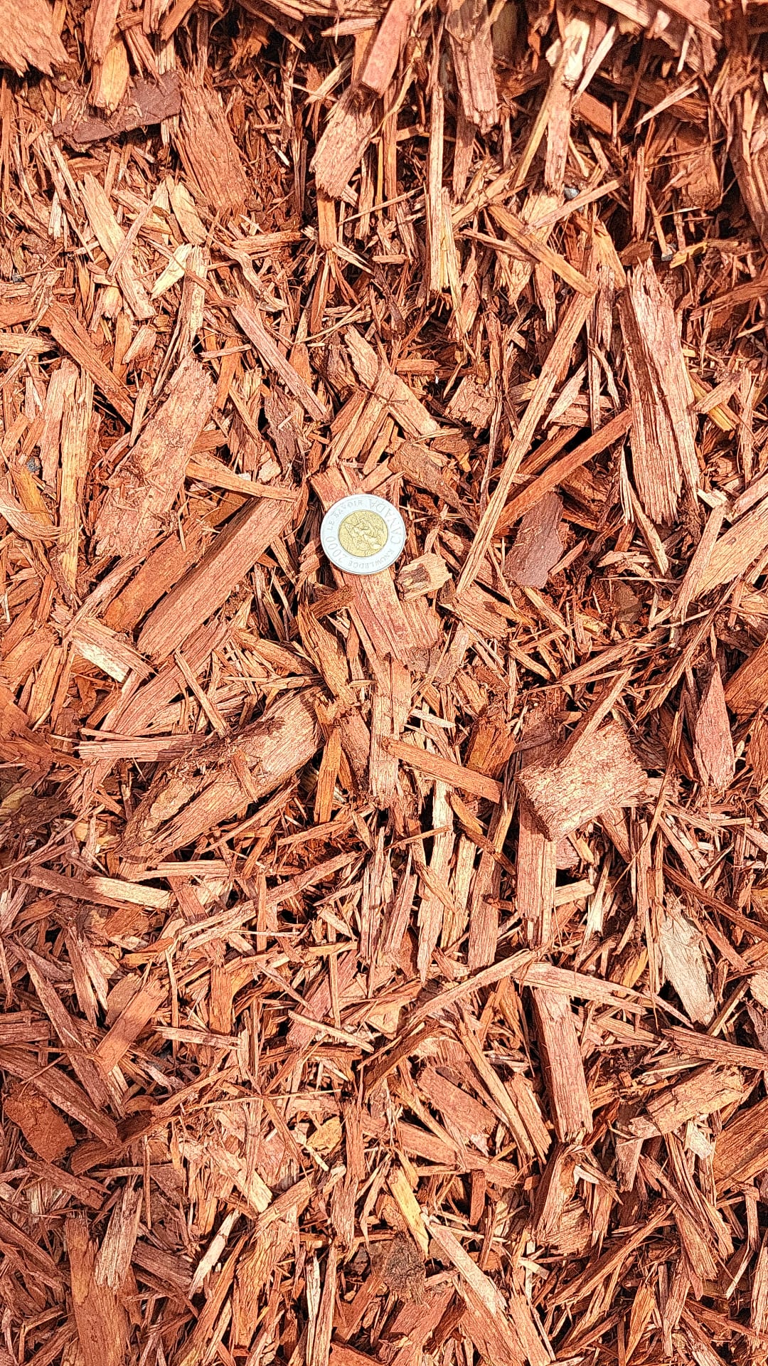 Red Mulch — landscaping supply in Edmonton