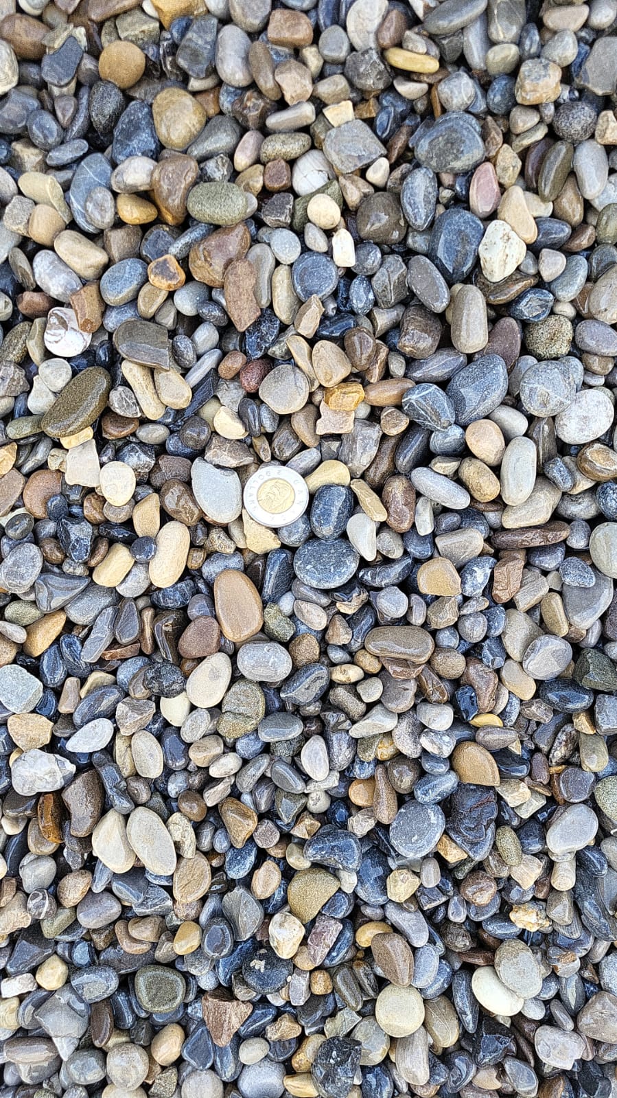 Wash Rocks 20mm — landscaping supply in Edmonton