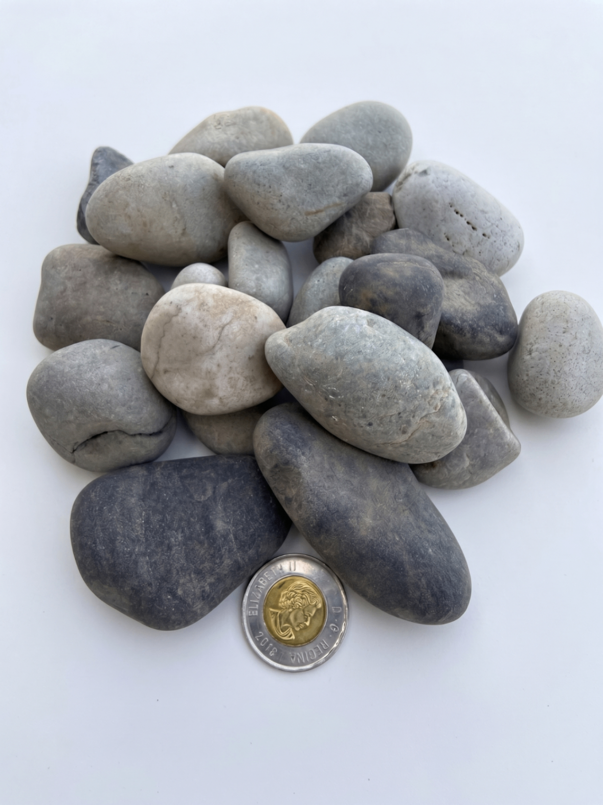 Wash Rocks 40mm