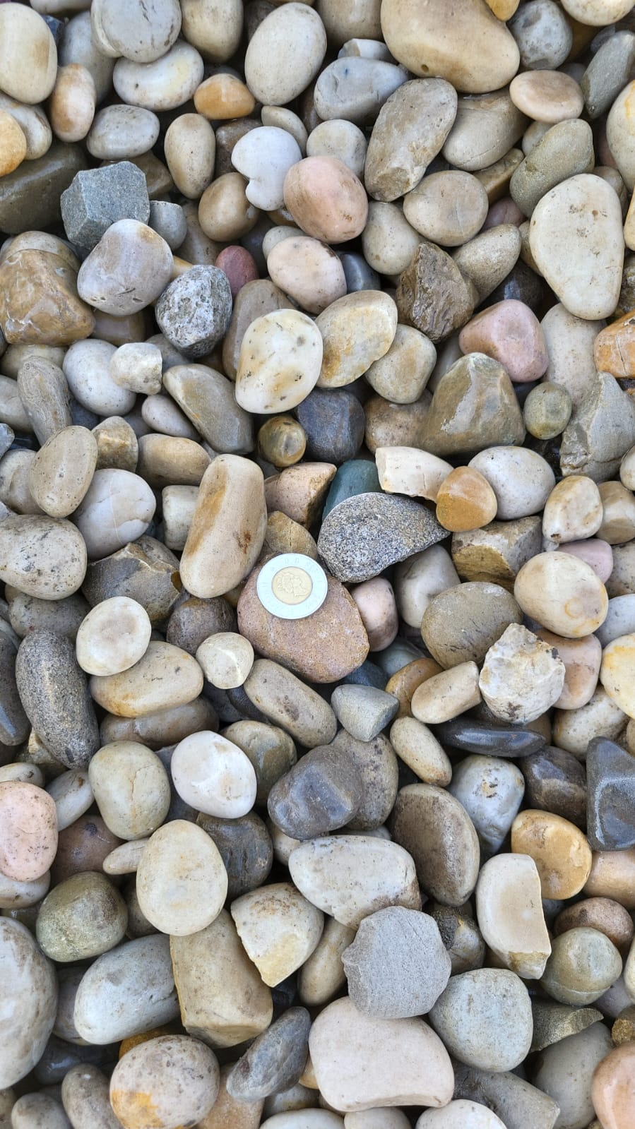 Wash Rocks 40mm — landscaping supply in Edmonton