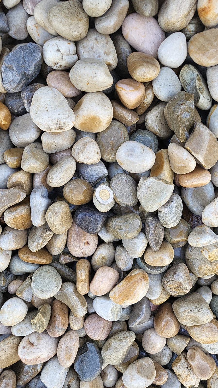 Wash Rocks 40-50mm — landscaping supply in Edmonton